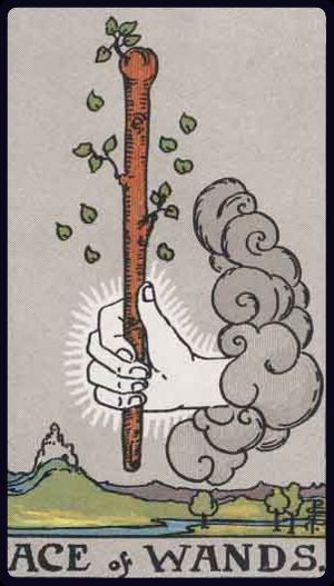 Carta del tarot As de Bastos
